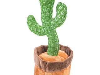 Cactus-Кактус танцует,повторяет,поет. foto 3