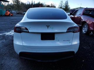 Tesla Model Y foto 6