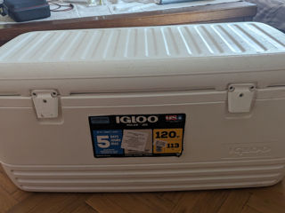 Igloo cooler, polar model, 120 qt (113,56 l) capacity  lada frigorifică igloo foto 10