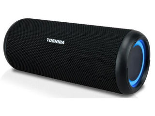 Колонка портативная Bluetooth Toshiba TY-WSP201  Супер подарок! Встречай лето с музыкой! foto 4