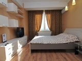 Apartament cu 1 cameră, 45 m², Centru, Chișinău foto 9