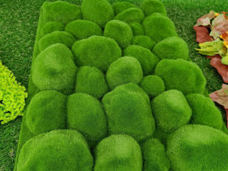Декоративные зеленые покрытия / фитостена / perete din plante artificiale foto 11