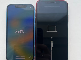 iPhone 13 mini