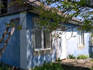 Casa +13 sote în zona ecologica și liniștită.  Poziționare lângă Nistru , s. Egoreni , or.Soroca foto 1