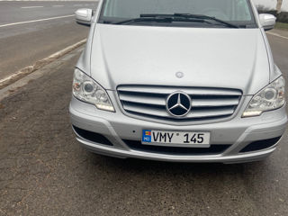 Mercedes Viano foto 7