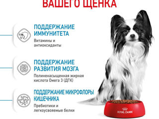 Сухой корм для щенков Royal Canin X-Small Puppy фото 2
