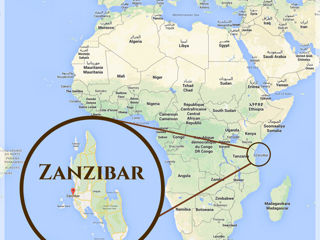 Откройте для себя Занзибар: Ваш идеальный отпуск на экзотических пляжах! foto 6