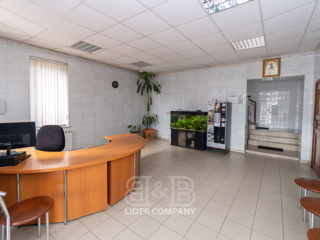 Chirie Spațiu Comercial , Oficii    220mp foto 2