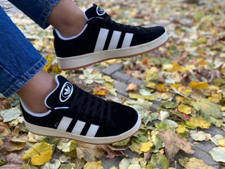 Adidas Campus foto 5