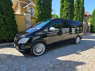 Mercedes Viano