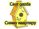 Caut gazdă! / сниму квартиру! foto 1