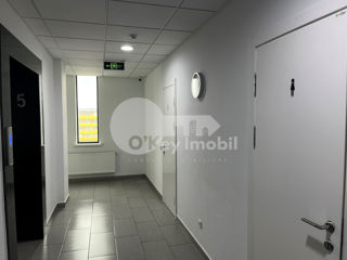 Chirie! Oficiu, reparație euro, 325 mp, Centru, 4 875 € foto 11