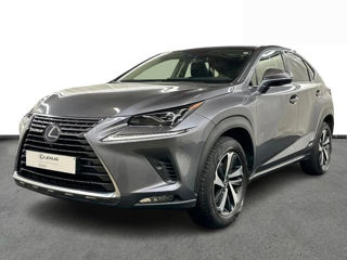 Lexus NX Series