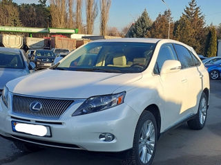 Lexus RX Series