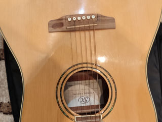 SX Dg195 N guitar Elit acoustic dreadnought concert instrument foto 8