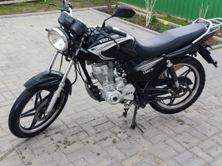 Wolf Motors