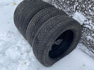 215/60 R16 Dunlop Winter Sport 5 - 3600lei