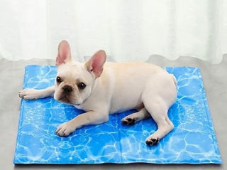 Охлаждающий лежак для собак