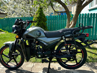 Viper ZS125F New foto 6