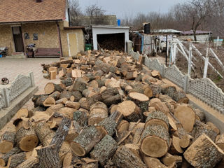 Lemne de foc livrare gratuită foto 1