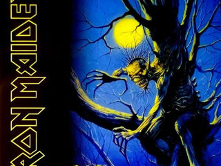 Iron Maiden - Fear Of The Dark. Si multe altele! Livrare gratuita!