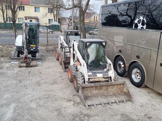 Defrisarea terenurilor,Evacuarea gunoiului / Curatarea terenurilor foto 4