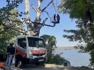Curățarea copacilor de crengi uscate, sau taierea copacilor.