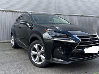 Lexus NX Series