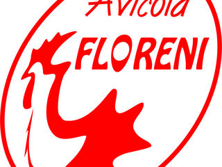 Compania Floreni SRL cumpara porumb, griu, soie foto 2