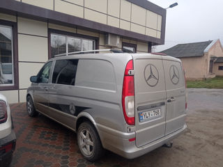 Mercedes Viano foto 4