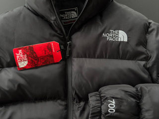 Scurtă de iarnă TheNorthFace foto 5