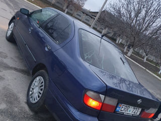 Nissan Primera foto 5