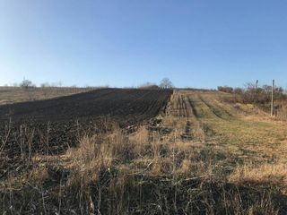 Ровный участок под строительство 16 соток, в новом секторе в Сурученах foto 1