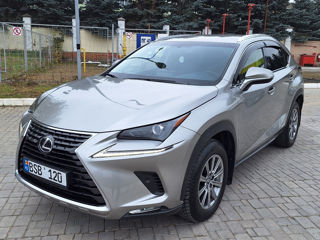 Lexus NX Series