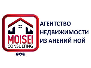 Агентство Недвижимости "Moisei-Consulting" из Анений Ной