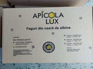 Faguri Apicola Lux. foto 2