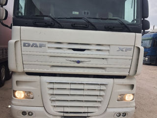 Daf