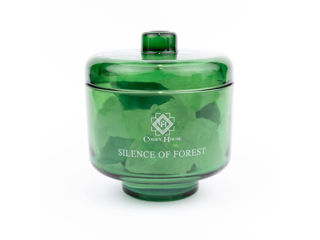 Green Silence of Forest – Cristale naturale Green Fluorite si Quartz Alb foto 2