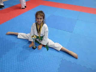 Taekwondo WT foto 4