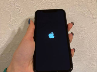 iPhone 11 foto 4