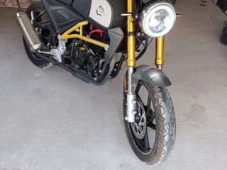 Wolf Motors Scrambler foto 4