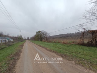 Lot de teren agricol, 244 ari. Dolinnoe, Valea Coloniței! foto 3