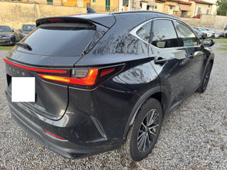 Lexus NX Series foto 3