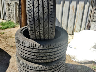 255/40 R20 Viking 2023 Europa