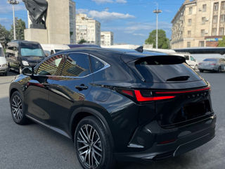 Lexus NX Series foto 5