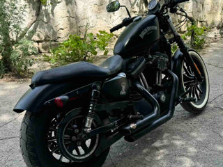 Harley - Davidson IRON 883 foto 6