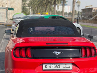 Ford Mustang foto 2