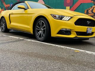 Ford Mustang foto 2