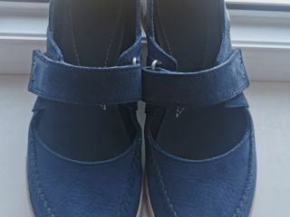 Clarks 37