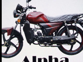 Alpha Moto Alpha Andes moki